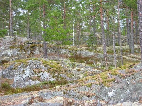 The highpoint of Sdermanland in the beginning of May 2005.
