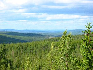 Landskapet Hälsinglands highpoint